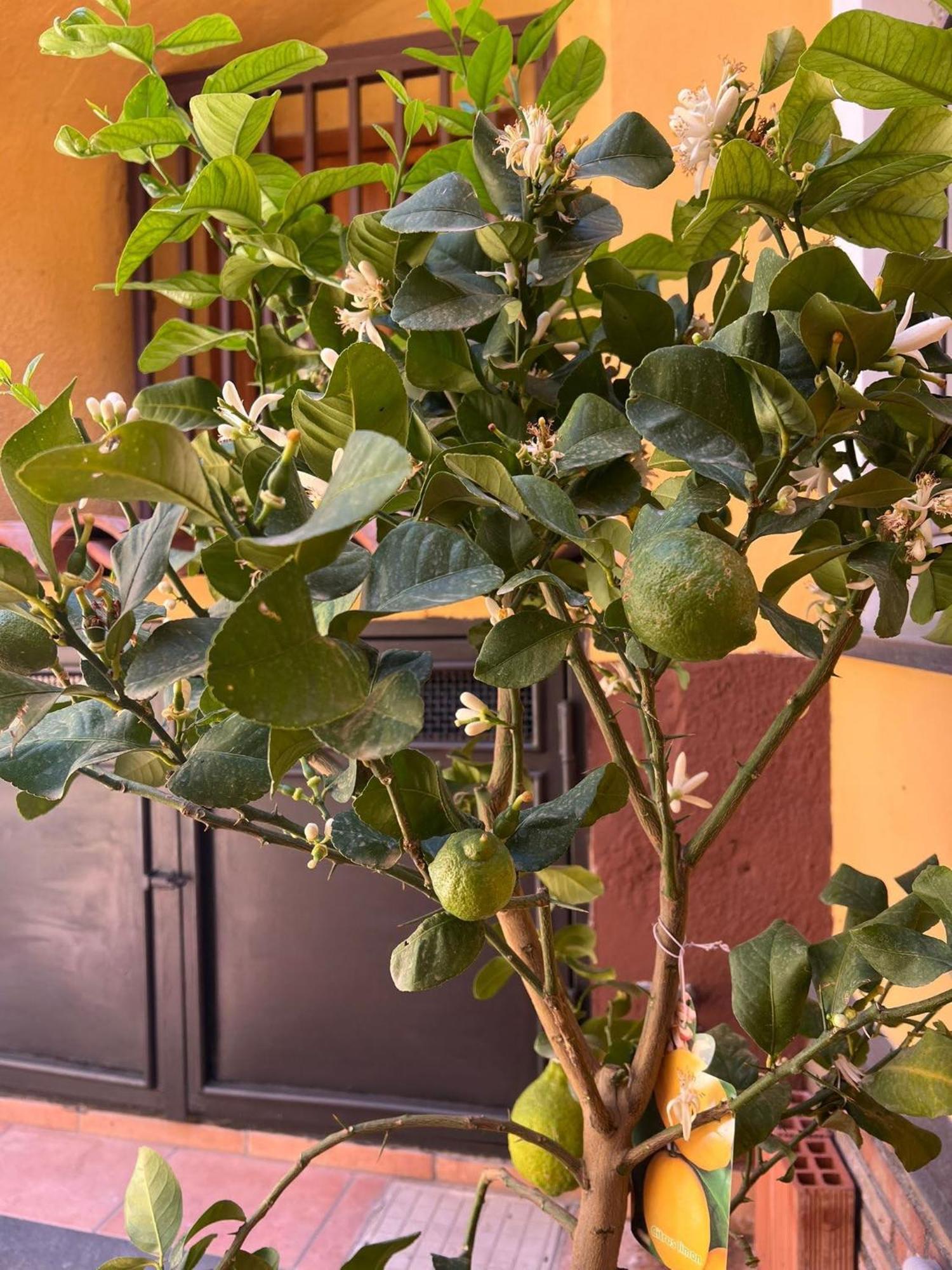 Sabbenerica Apartment Catania Ngoại thất bức ảnh